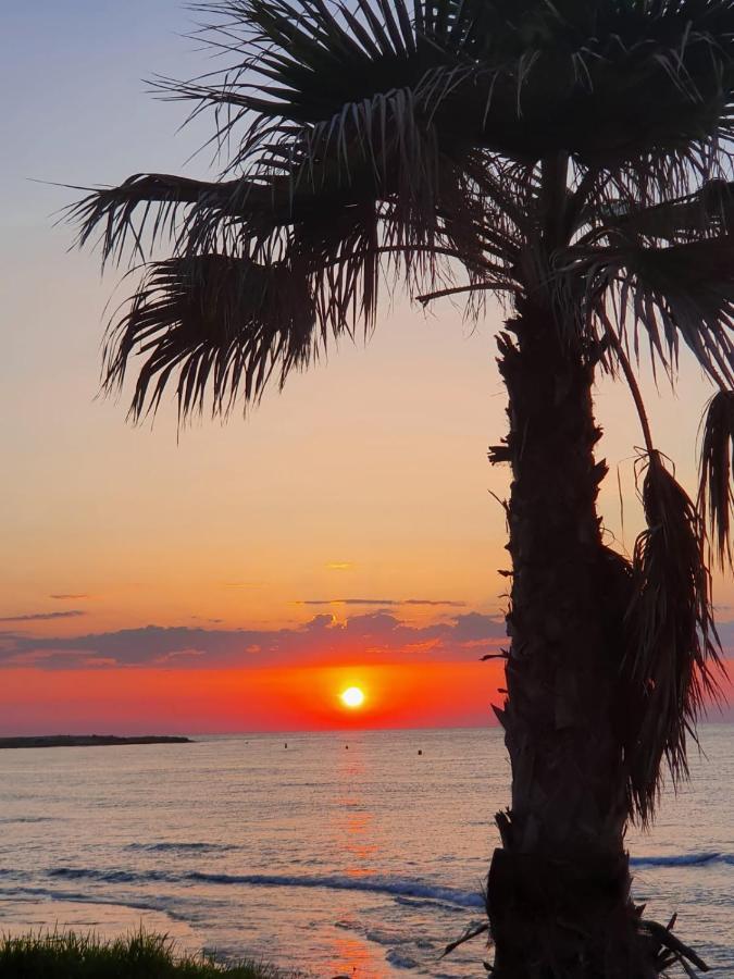 Gemuetliche Ferienwohnung In Torrevieja Ca100M Vom Strand Playa Del Cura Entfernt Extérieur photo